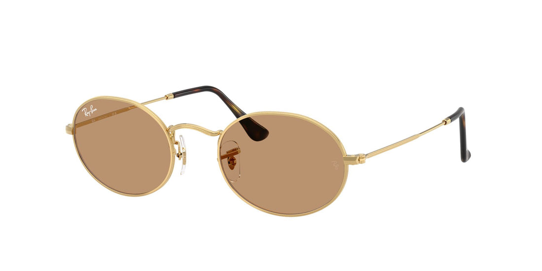 RayBan RB 3547 001/53
