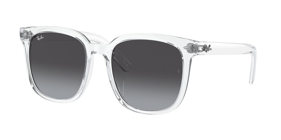 RayBan RB 4401D 6447/8G
