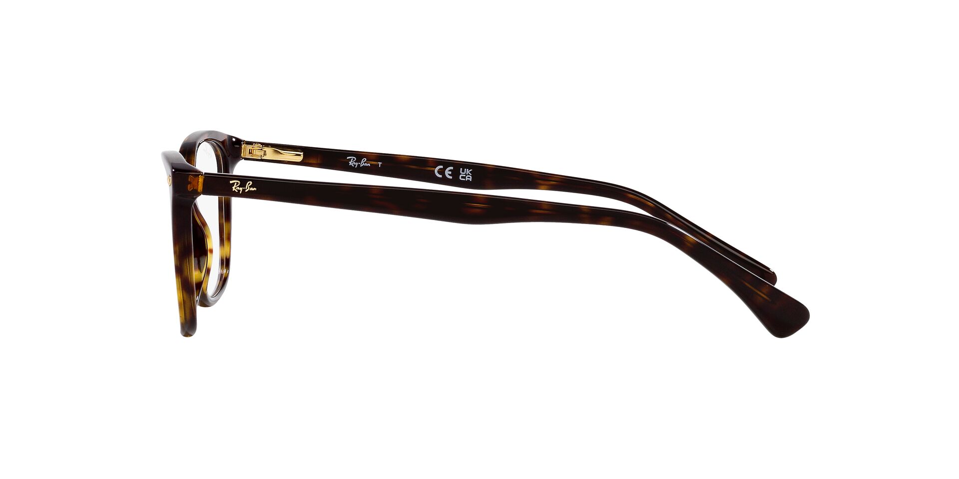RayBan RX 5420-I 2012