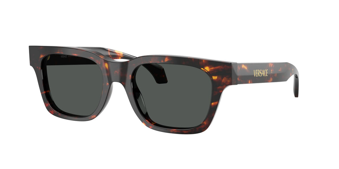 Versace VE 4486 5509/87