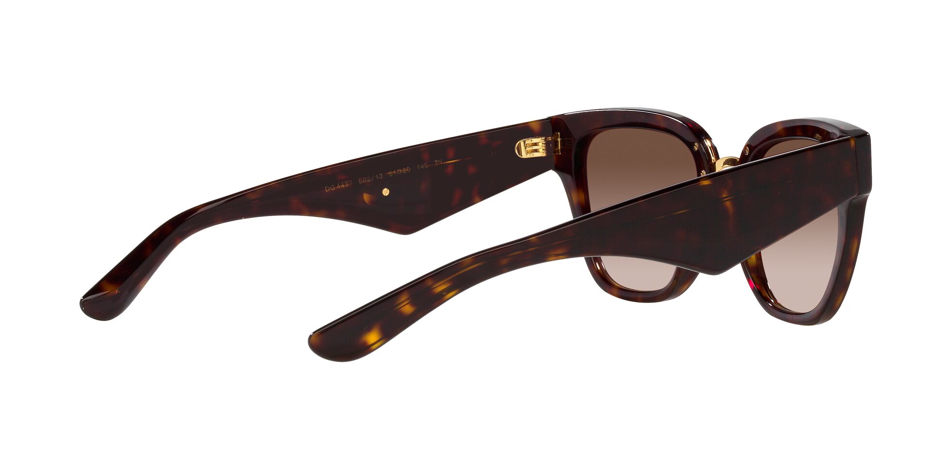Dolce & Gabbana DG 4437 502/13