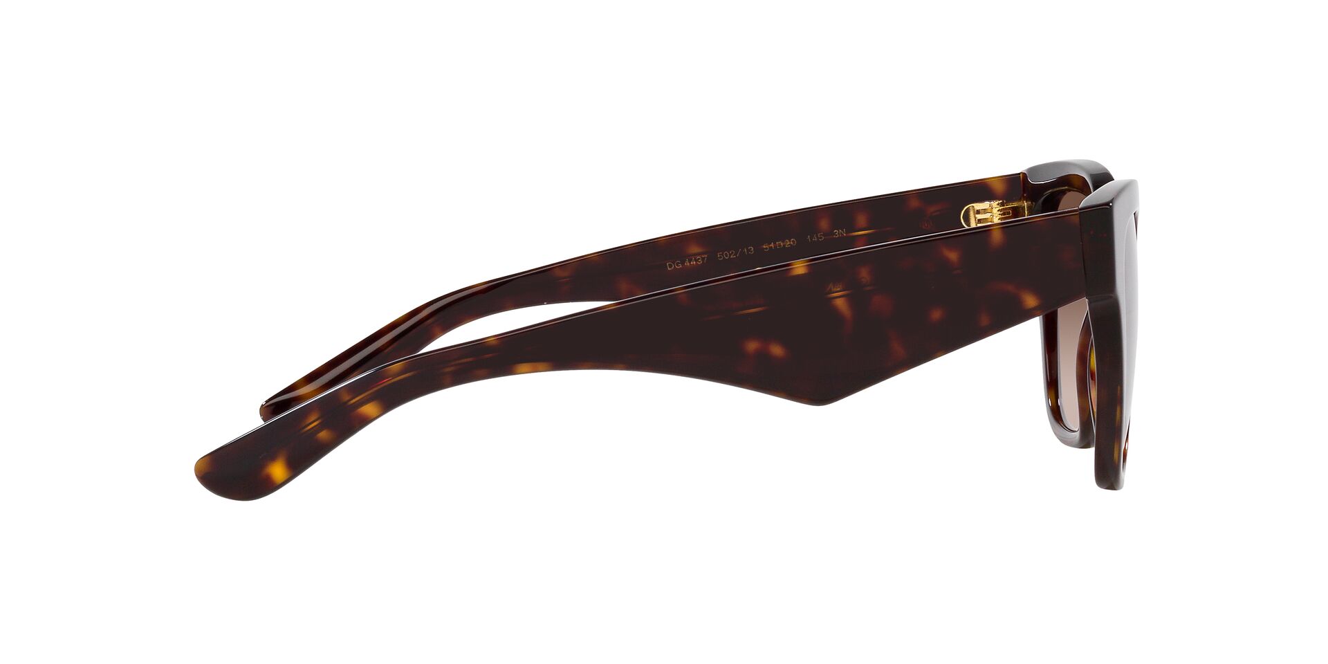 Dolce & Gabbana DG 4437 502/13
