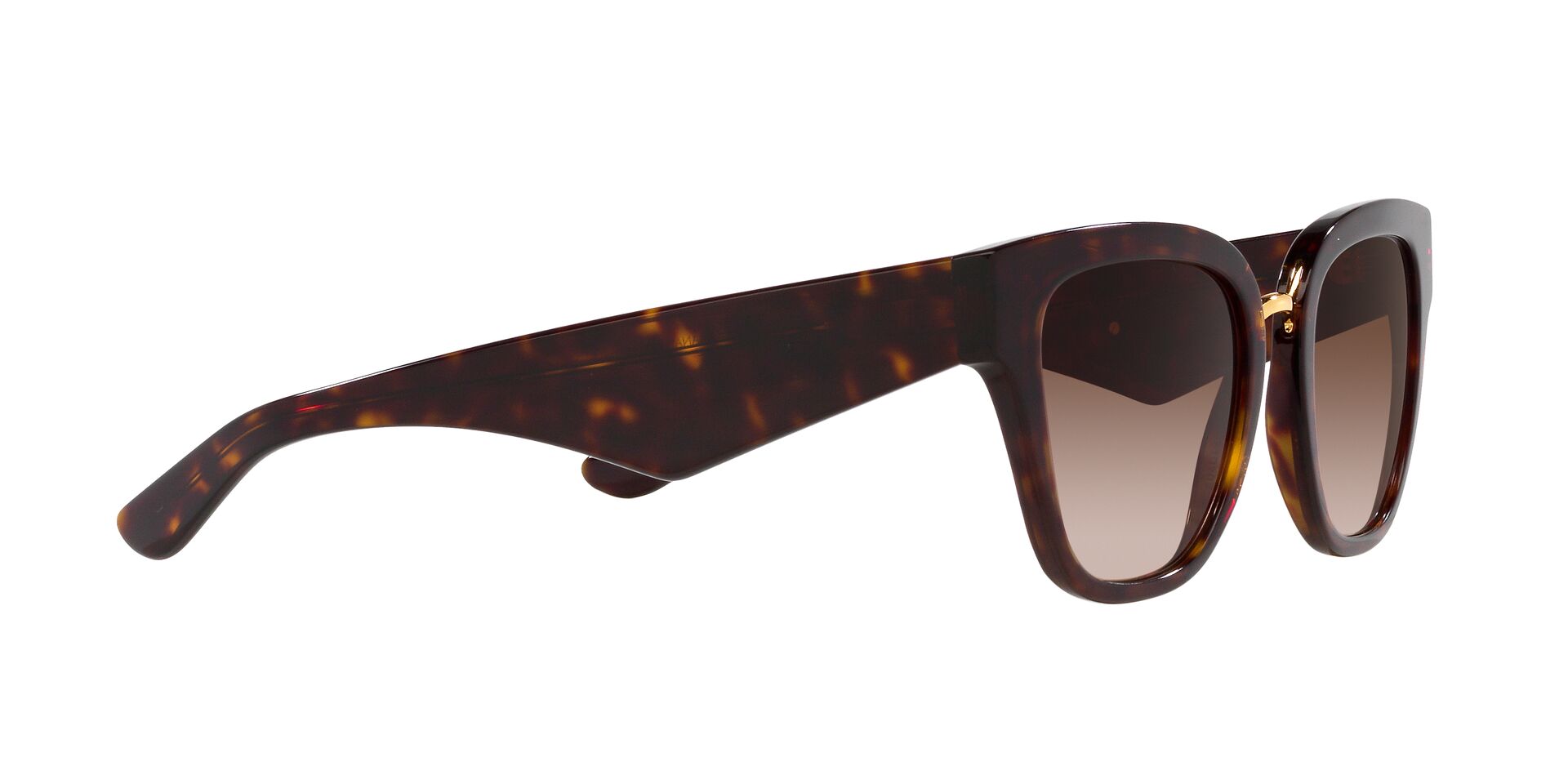Dolce & Gabbana DG 4437 502/13