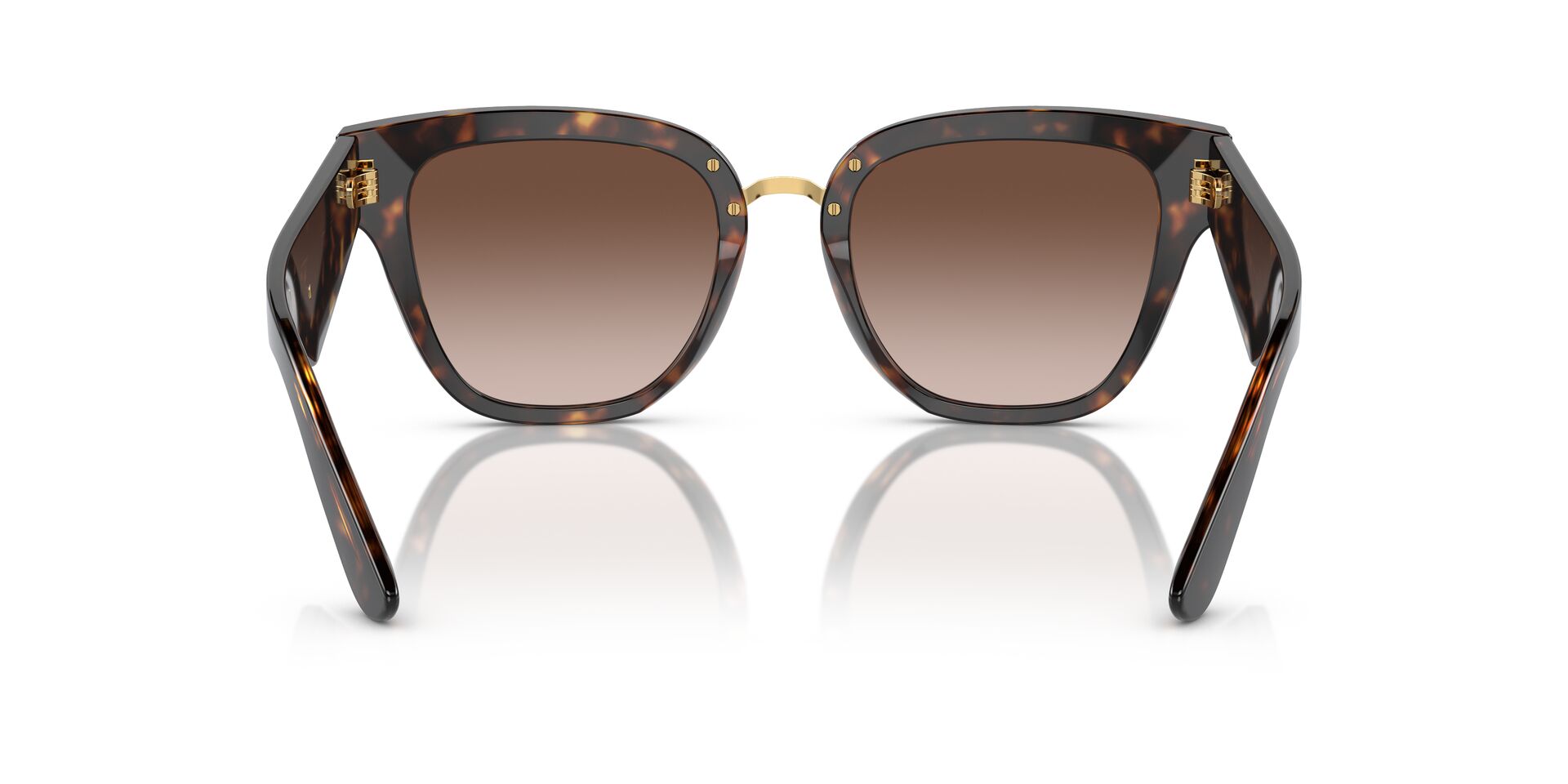 Dolce & Gabbana DG 4437 502/13