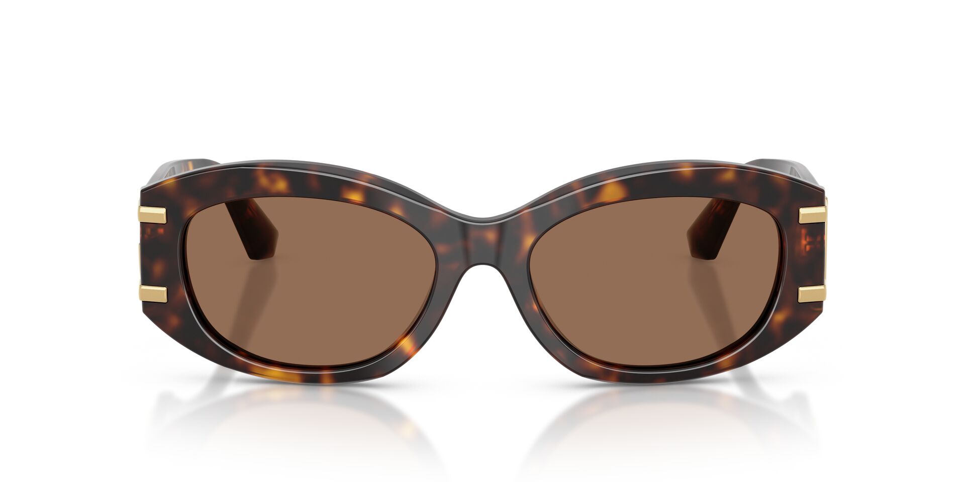 Dolce & Gabbana DG 4502 502/73