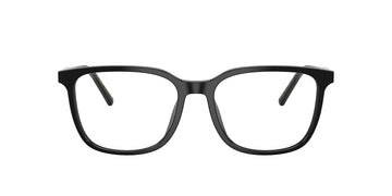 Dolce & Gabbana DG 3445  501