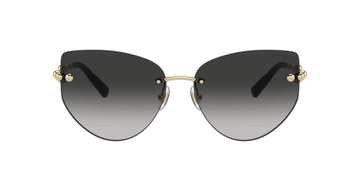 Tiffany&Co TF 3096  6021/3C