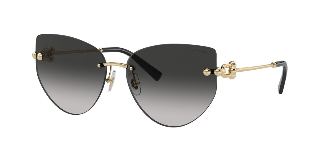 Tiffany&Co TF 3096  6021/3C