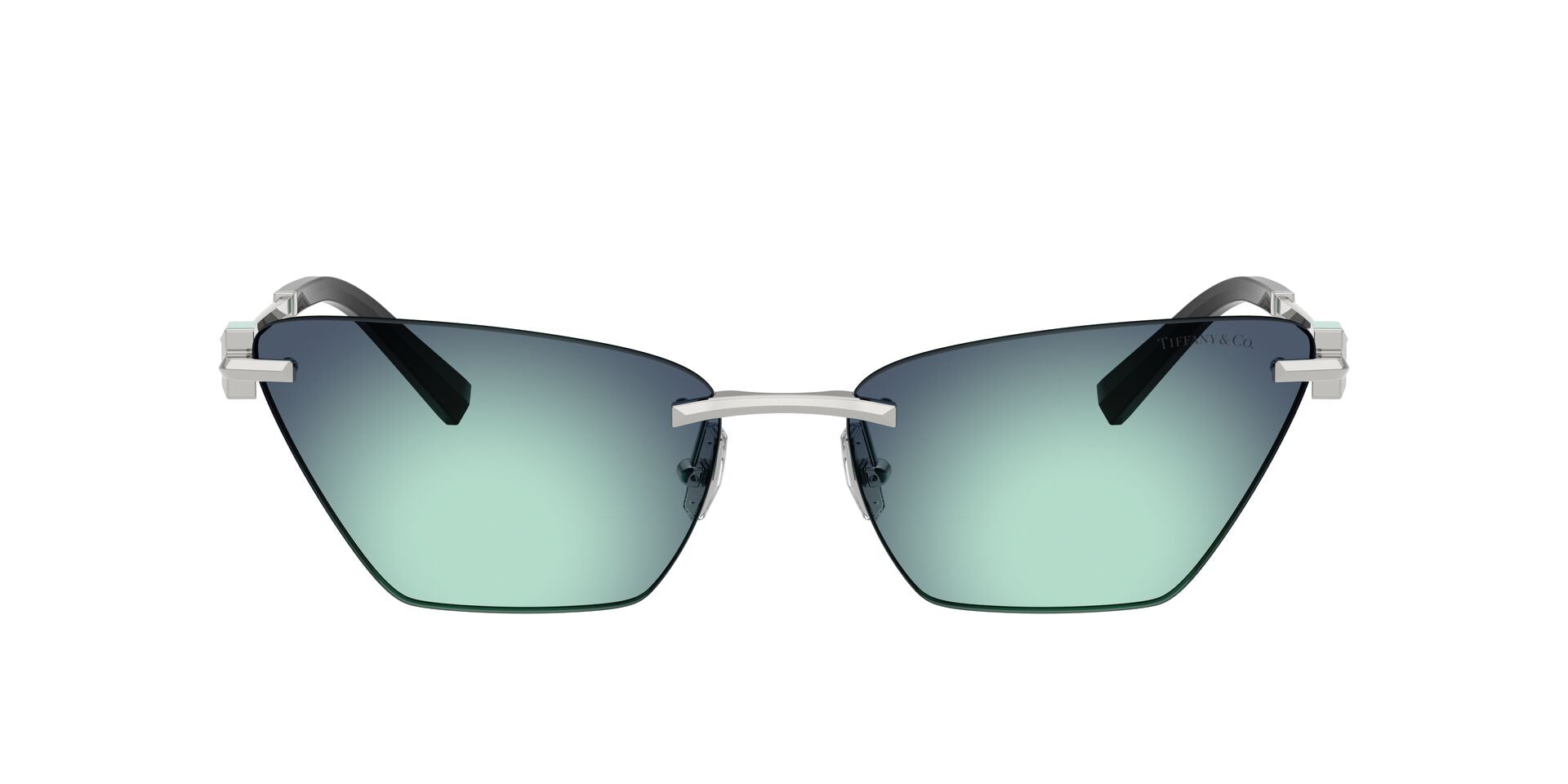 Tiffany&Co TF 3120  6001/9S