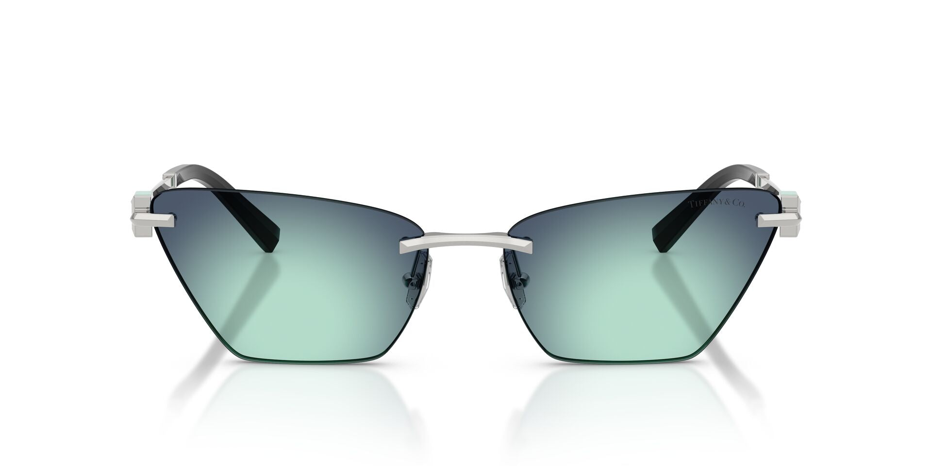 Tiffany&Co TF 3120  6001/9S