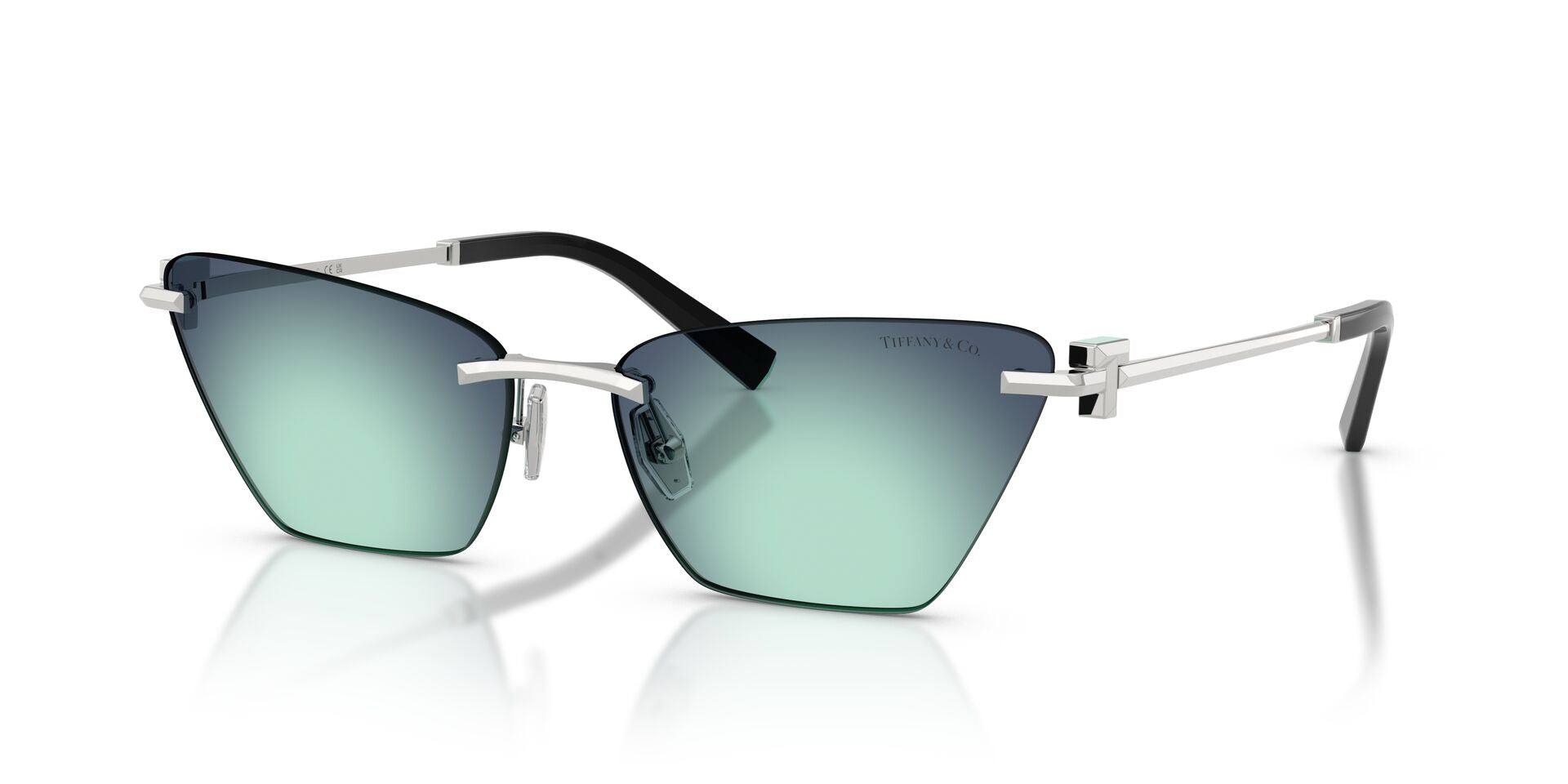 Tiffany&Co TF 3120  6001/9S
